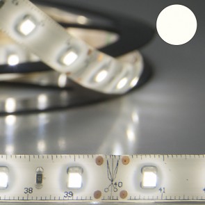 LED SILIKON-Flexband, 12V, 4,8W, IP66, neutralweiss-34905