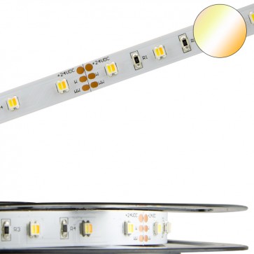 LED High End Stripe, 24 V, 9.6 W, weißdynamisch-35590